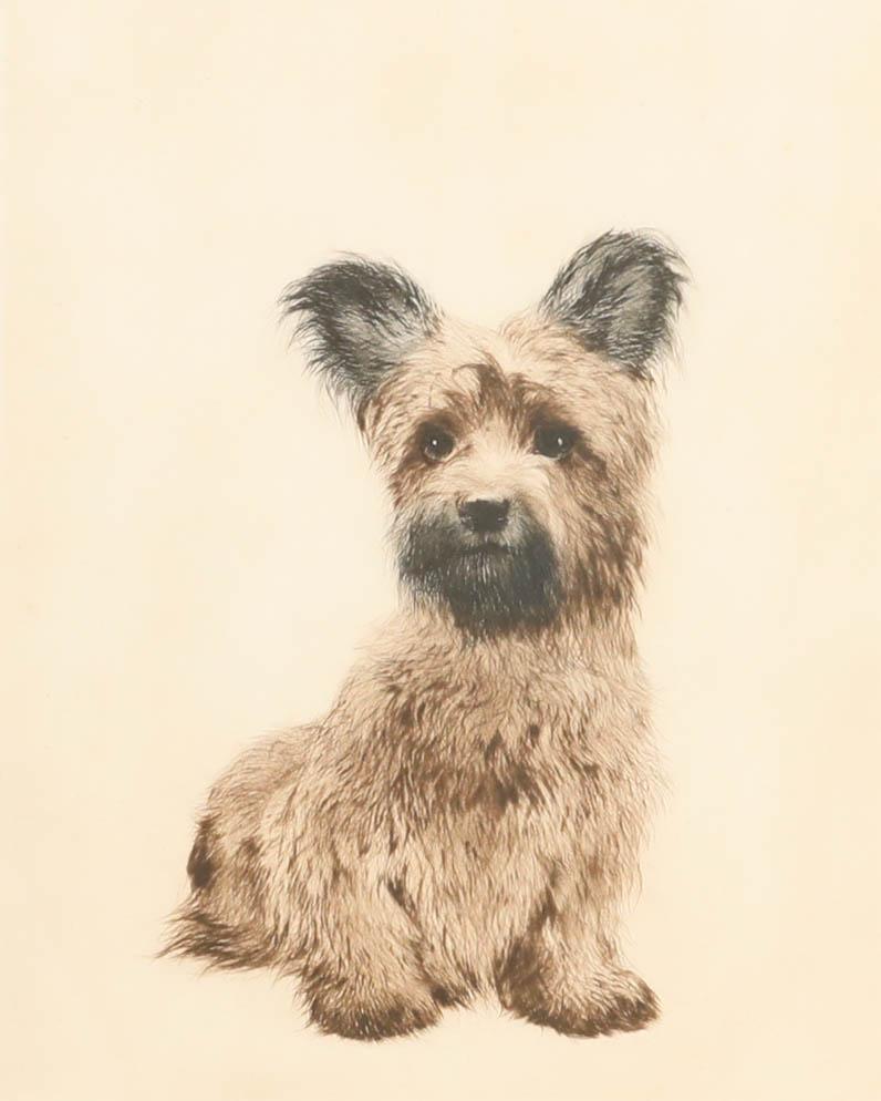 Kurt Meyer-Eberhardt (1895-1977) - Pointe sèche encadrée, Skye Terrier en vente 1