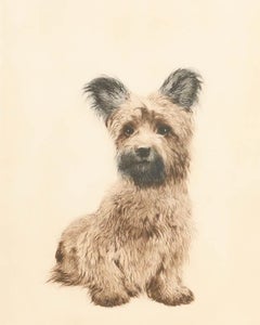 Kurt Meyer-Eberhardt (1895-1977) - Punta seca enmarcada, Skye Terrier
