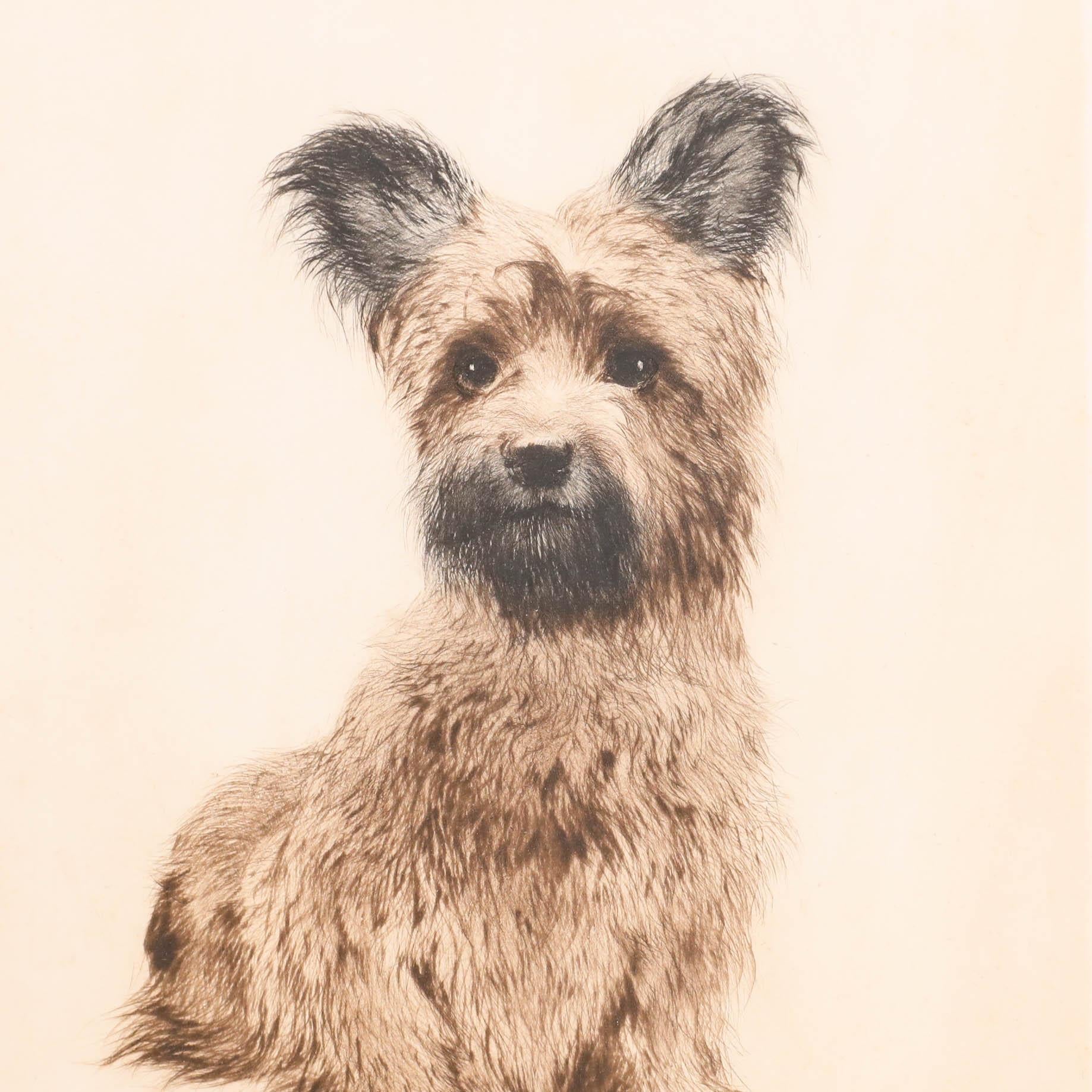 Kurt Meyer-Eberhardt (1895-1977) - Pointe sèche encadrée, Skye Terrier en vente 3