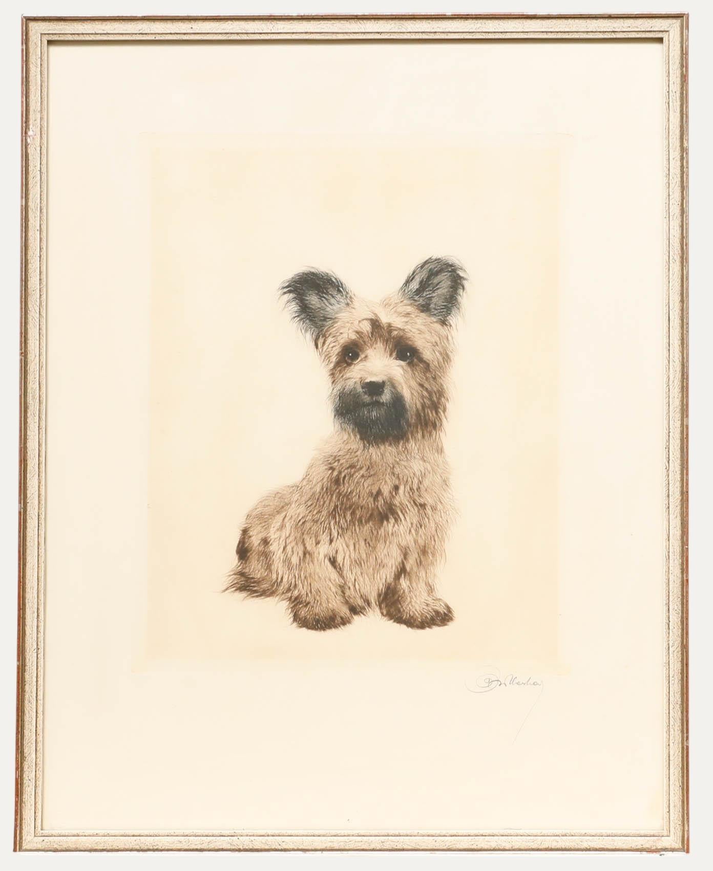 Kurt Meyer-Eberhardt (1895-1977) - Framed Drypoint, Skye Terrier