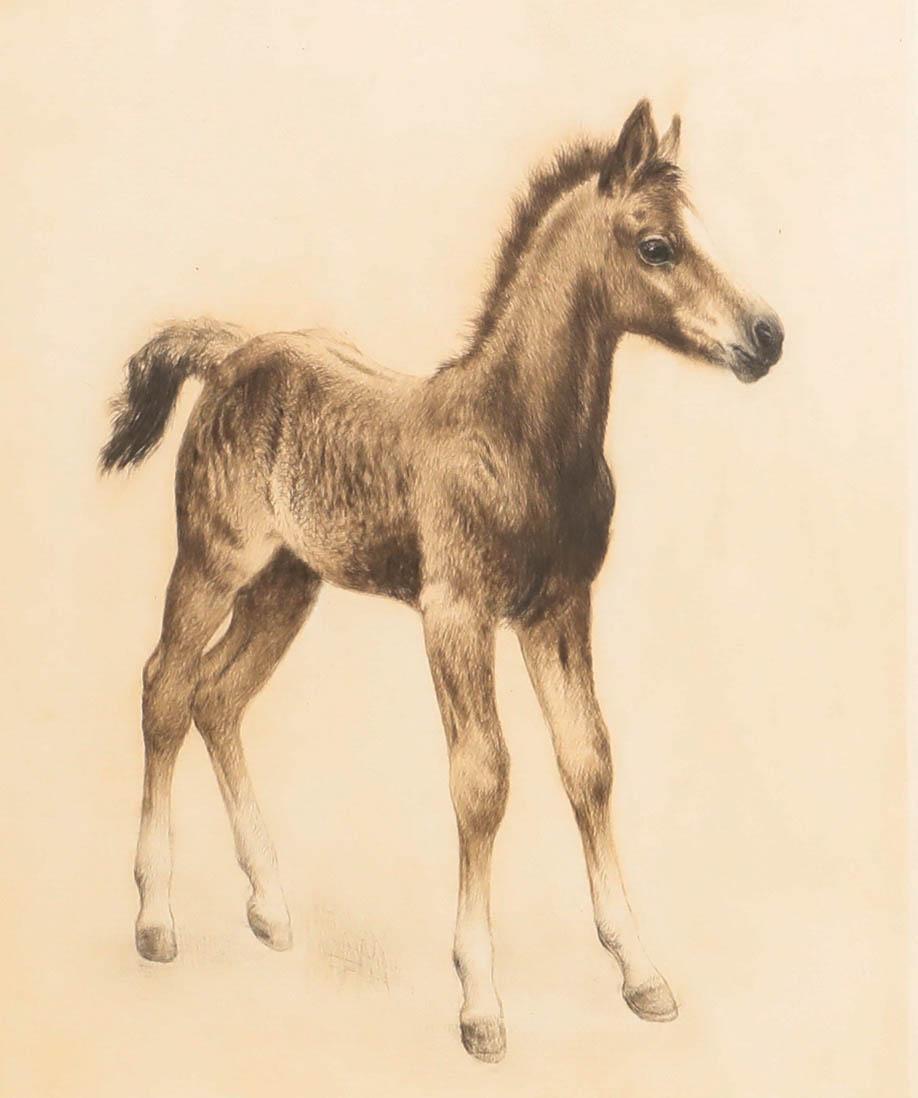 Kurt Meyer-Eberhardt (1895-1977) - Framed Drypoint, The Young Foal For Sale 1