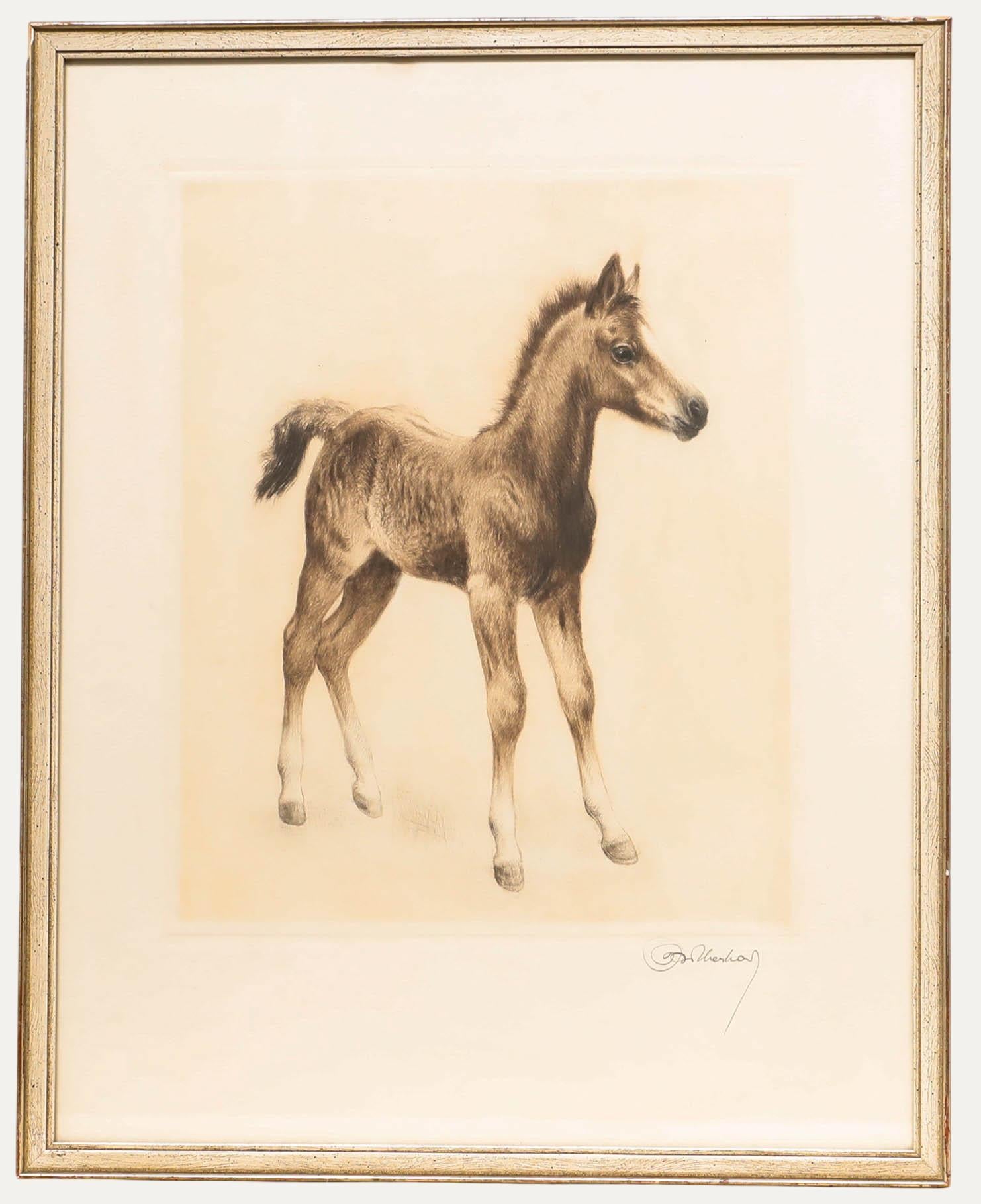 Kurt Meyer-Eberhardt (1895-1977) - Framed Drypoint, The Young Foal