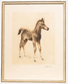 Etching Animal Prints