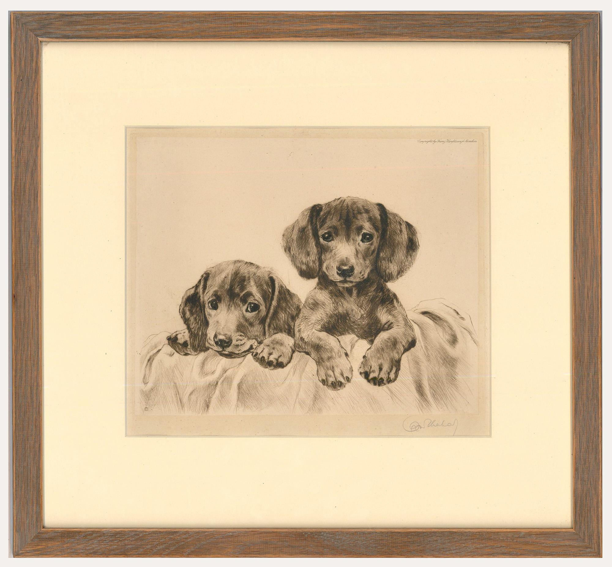 An adorable etching of two Dachshund puppies by the famous German artist & printmaker Kurt Meyer-Eberhardt (1895-1977). Published by Franz Hanfstaengl in Munich, as inscribed. The print has been beautifully mounted in a contemporary wood veneer