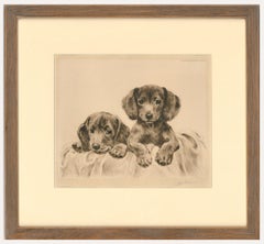 Kurt Meyer-Eberhardt (1895-1977) - Gravure encadrée du début du 20e siècle, Dachshunds