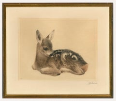 Antique Kurt Meyer-Eberhardt (1895-1977) - Framed Etching, Fawn at Rest