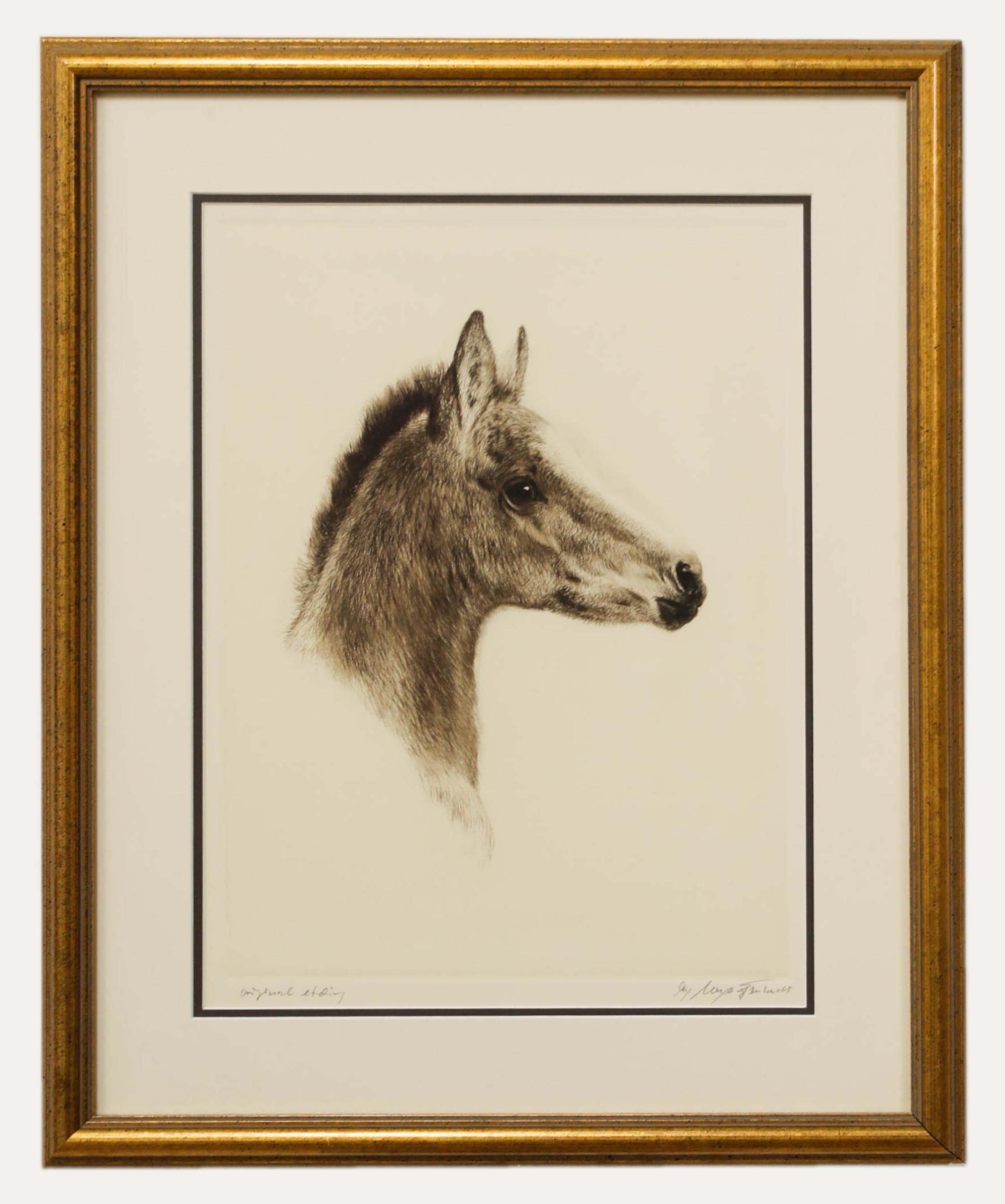 Gravure hyperréaliste d'une tête de poulain par l'artiste allemand bien connu Kurt Meyer-Eberhardt (1895-1977). Cette estampe particulière est une réimpression produite à partir de la plaque originale de l'artiste. Inscrit avec le nom de l'artiste