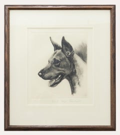 Kurt Meyer-Eberhardt (1895-1977), gravure encadrée, étude d'un dogue allemand