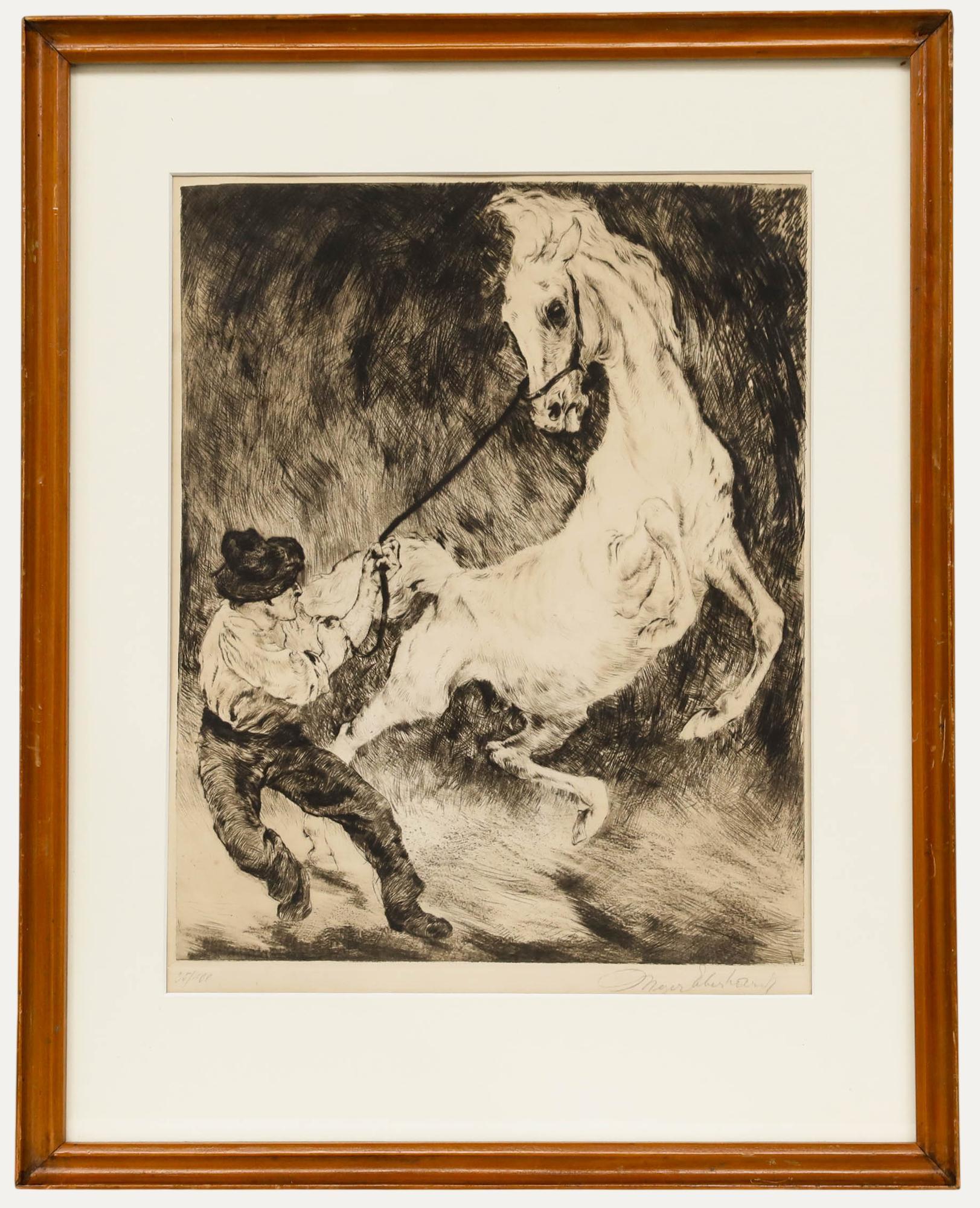 Kurt Meyer-Eberhardt (1895-1977) - Acquaforte incorniciata, Domare lo Stallone