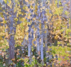 L'ultima luce