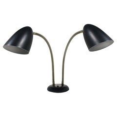 Kurt Versen Two-headed Goose-neck Table Lamp