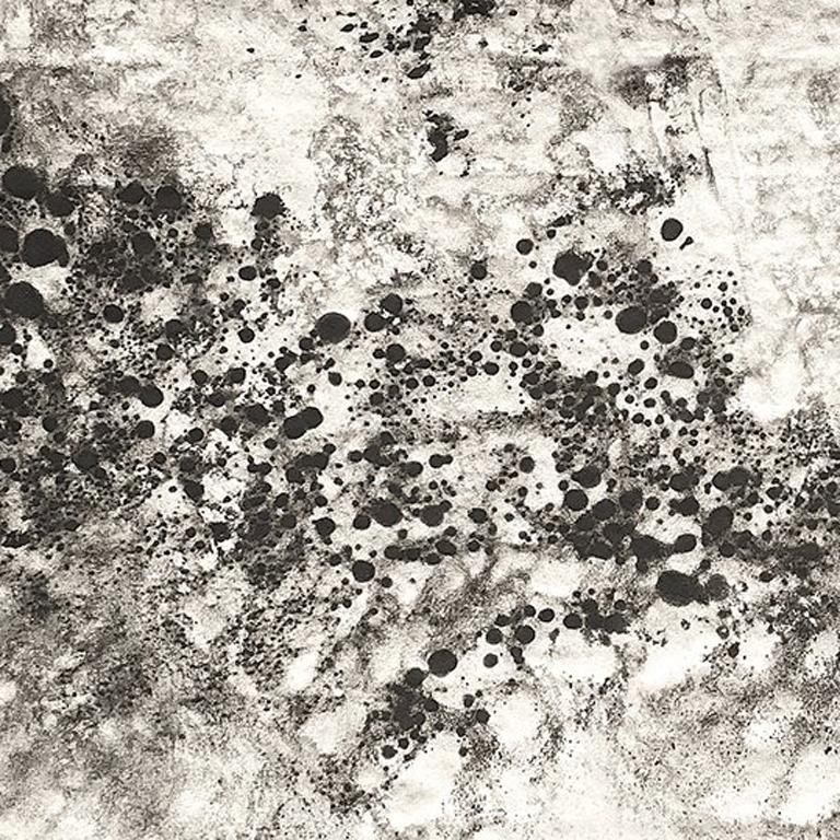Ash Ceniza #10 (black and white, ashes, abstract expressionist, charcoal) - Abstract Mixed Media Art by Kurtis Brand