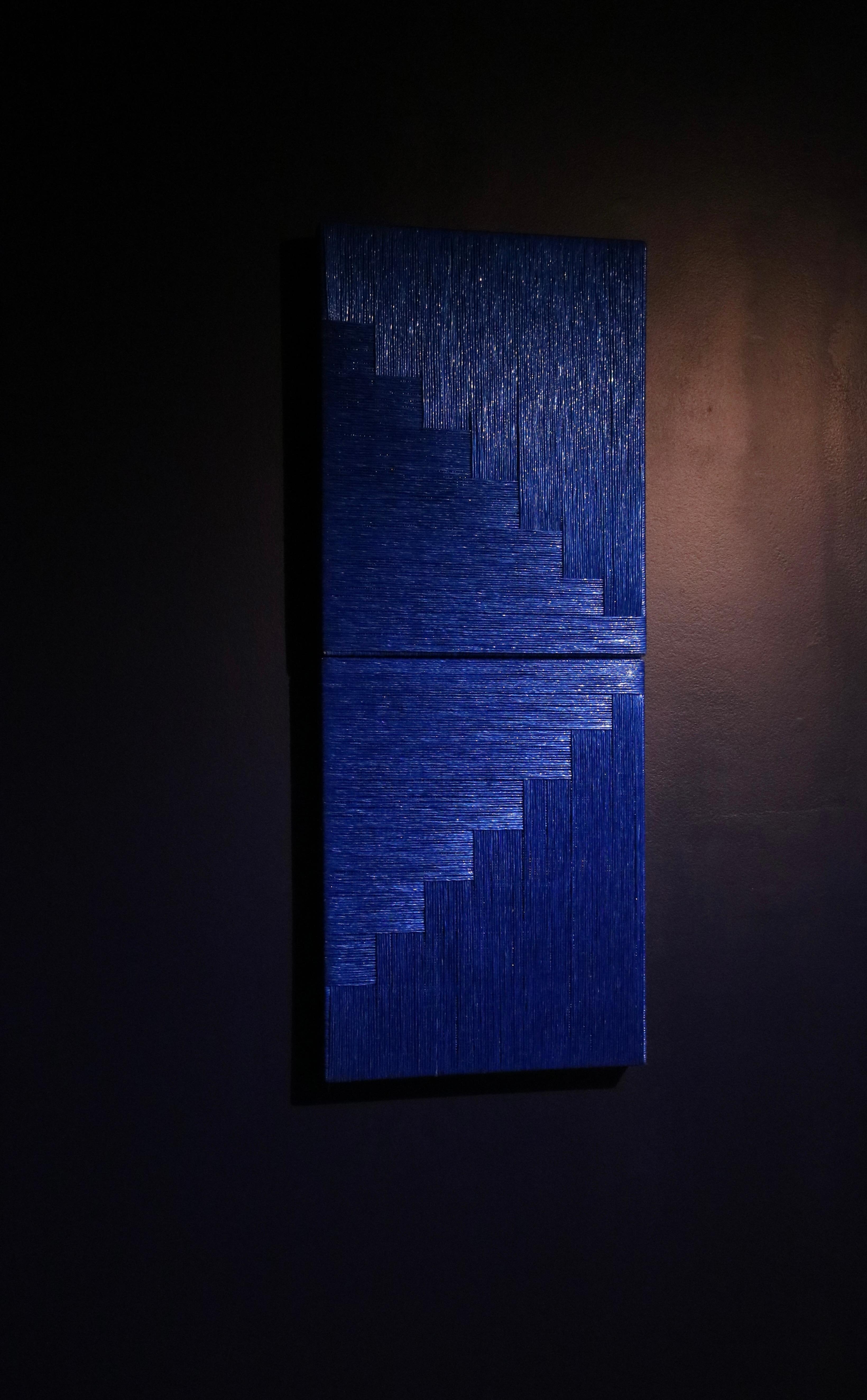 Díptico Plástico Pita Azul (arte en nailon, minimalista, américa latina, arte textil) en venta 2