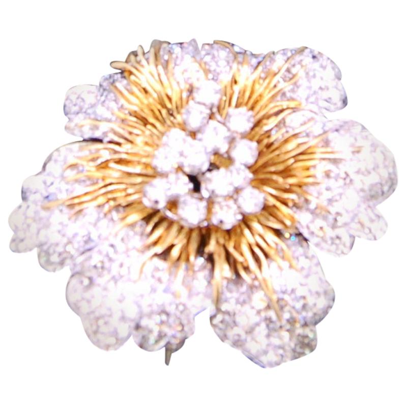 Kutchinsky Flower Head Brooch 34 Carat For Sale