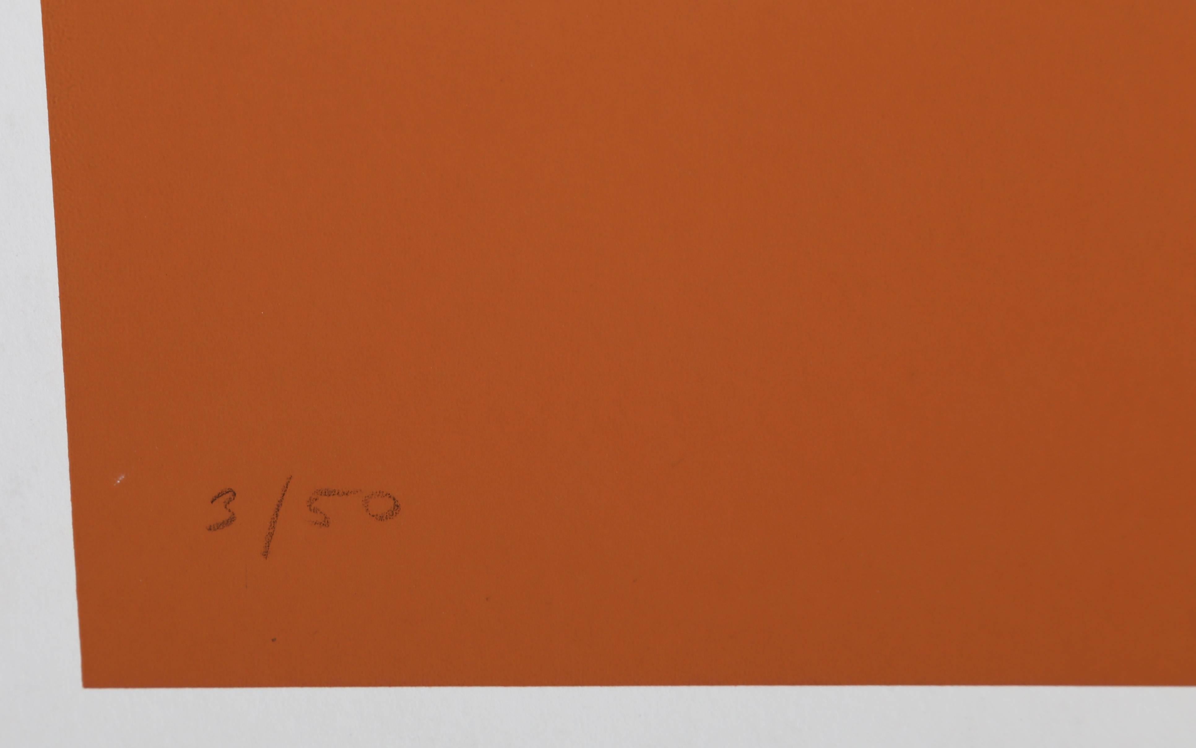 Egg (Orange), Geometric Abstract Screenprint by Kyohei Inukai For Sale 2