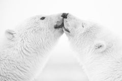 Kyriakos Kaziras - Just a Kiss, Photography 2014, Printed After