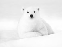 Kyriakos Kaziras - Mike Jr., Photography 2017, Printed After