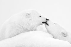 Kyriakos Kaziras - Mon Amour, Photography 2016, Printed After