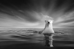 Kyriakos Kaziras - Soul of the Sea, Photography 2022, Printed After