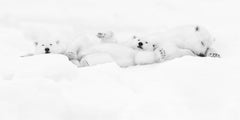 Kyriakos Kaziras - Sweet Dreams, Photography 2017, Printed After