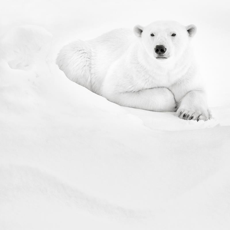 Lonely Boy II (11.8" x 11.8") - Photograph by Kyriakos Kaziras