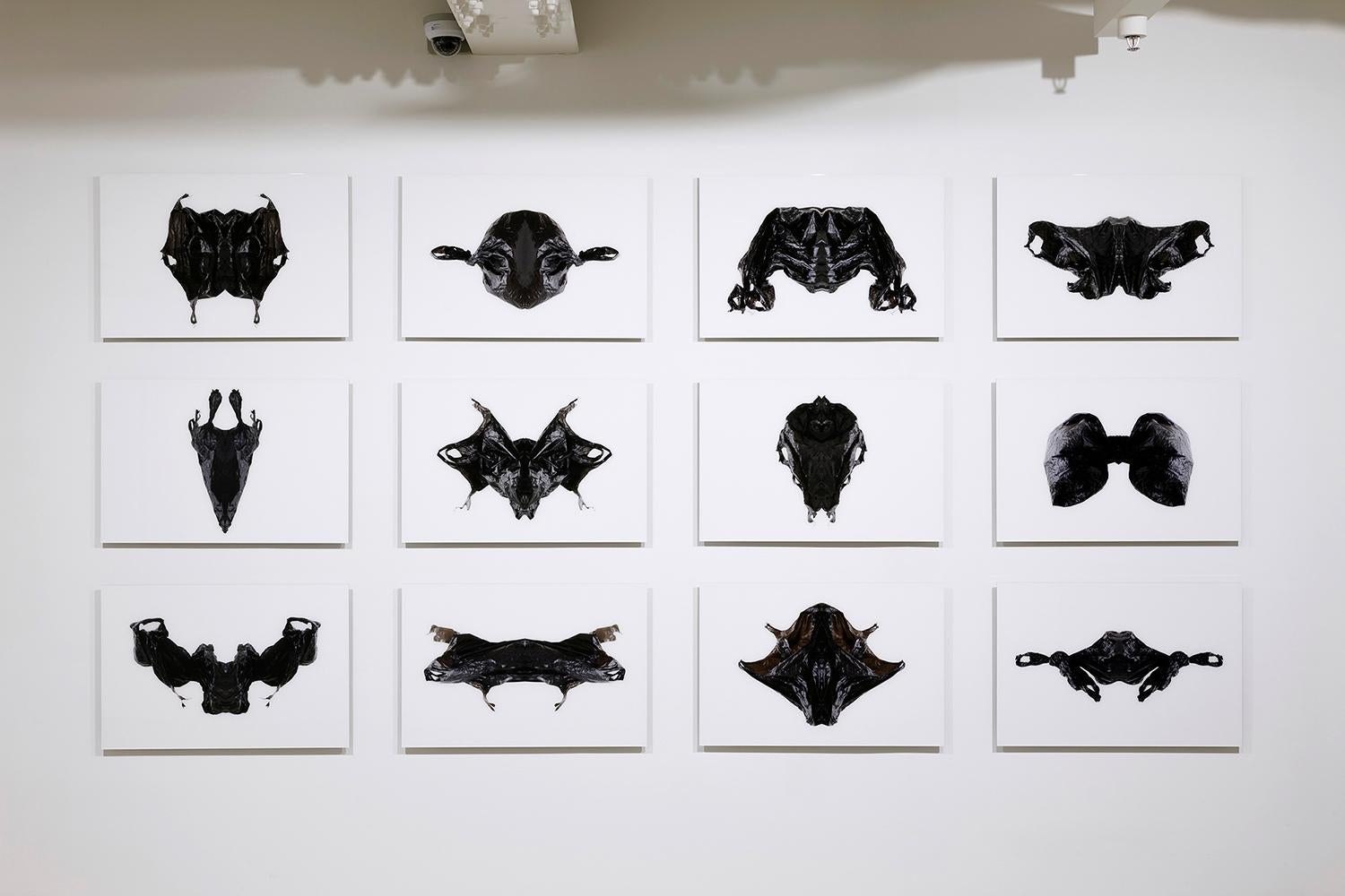 PLASTIC RORSCHACH - BLACK - Photograph by Kyung Woo Han