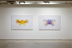 PLASTIC RORSCHACH - MIX II