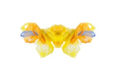PLASTIC RORSCHACH - MIX II