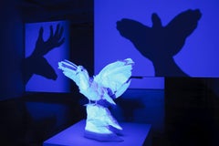 Projected Specimen - Bird