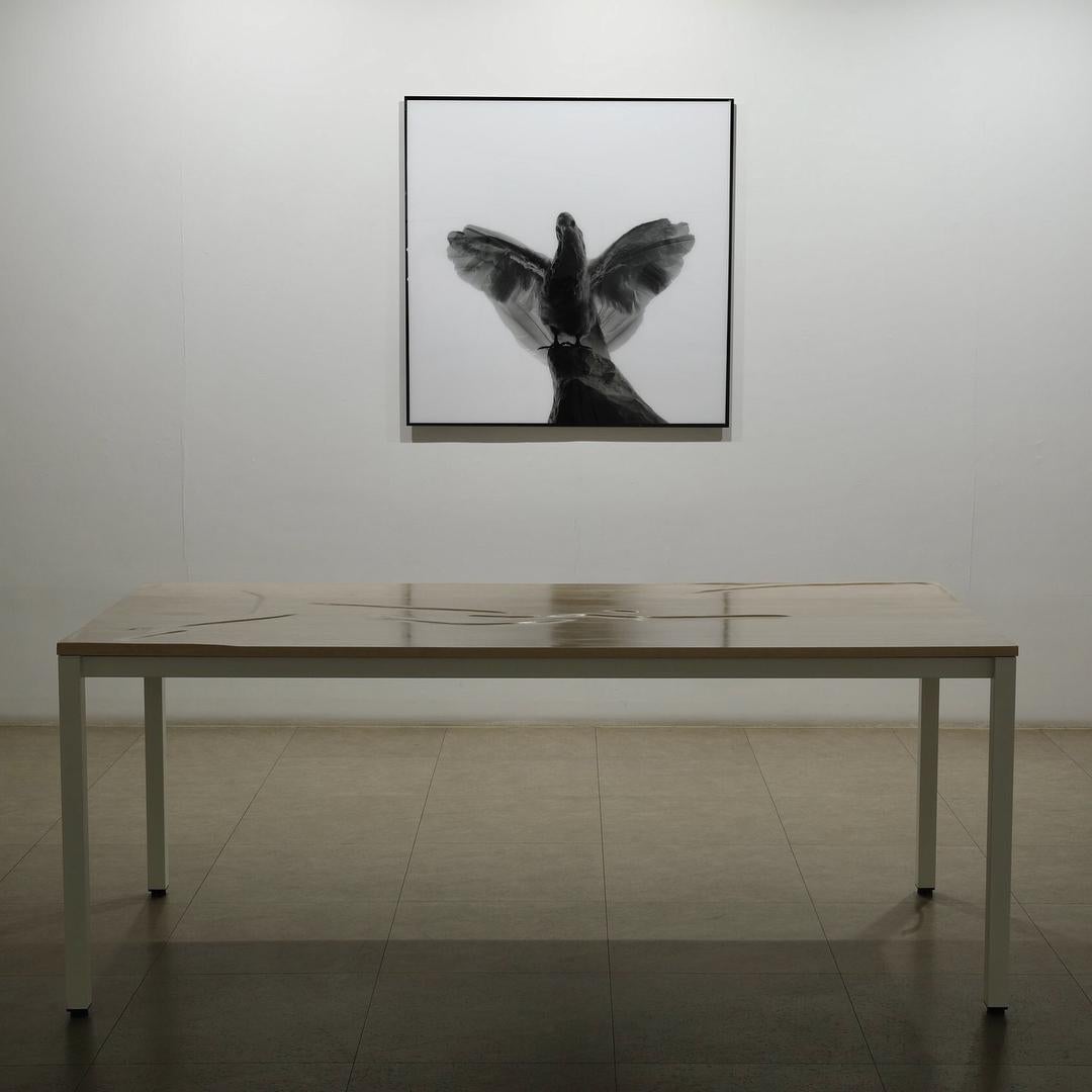 Projected Specimen - Bird - Contemporary Photograph by Kyung Woo Han