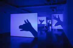 Projected Specimen - Dog