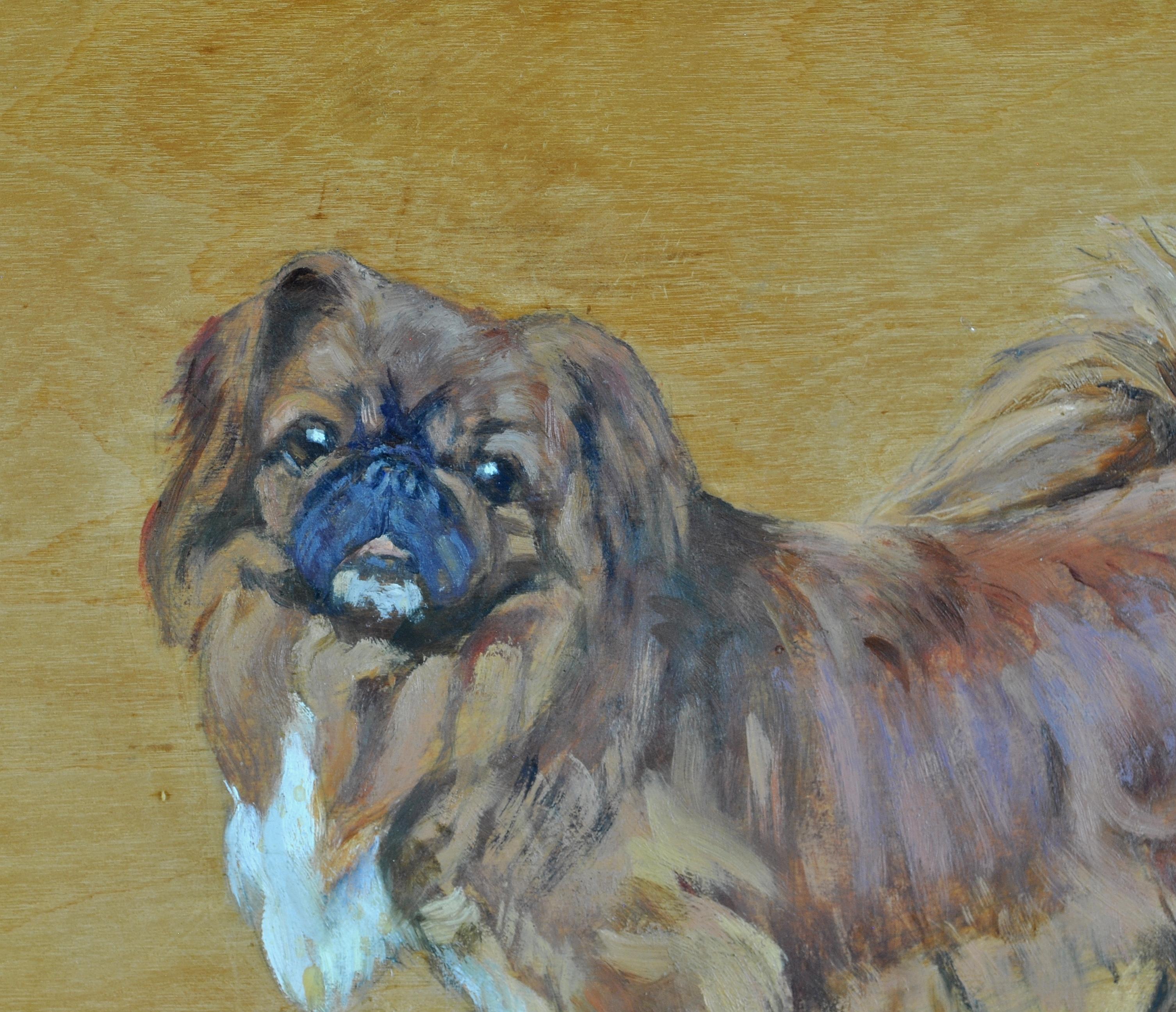 Portrait of a Pekingese - Mid 20th Century Oil on Panel Dog Painting - Brown Animal Painting by L. Lockwood