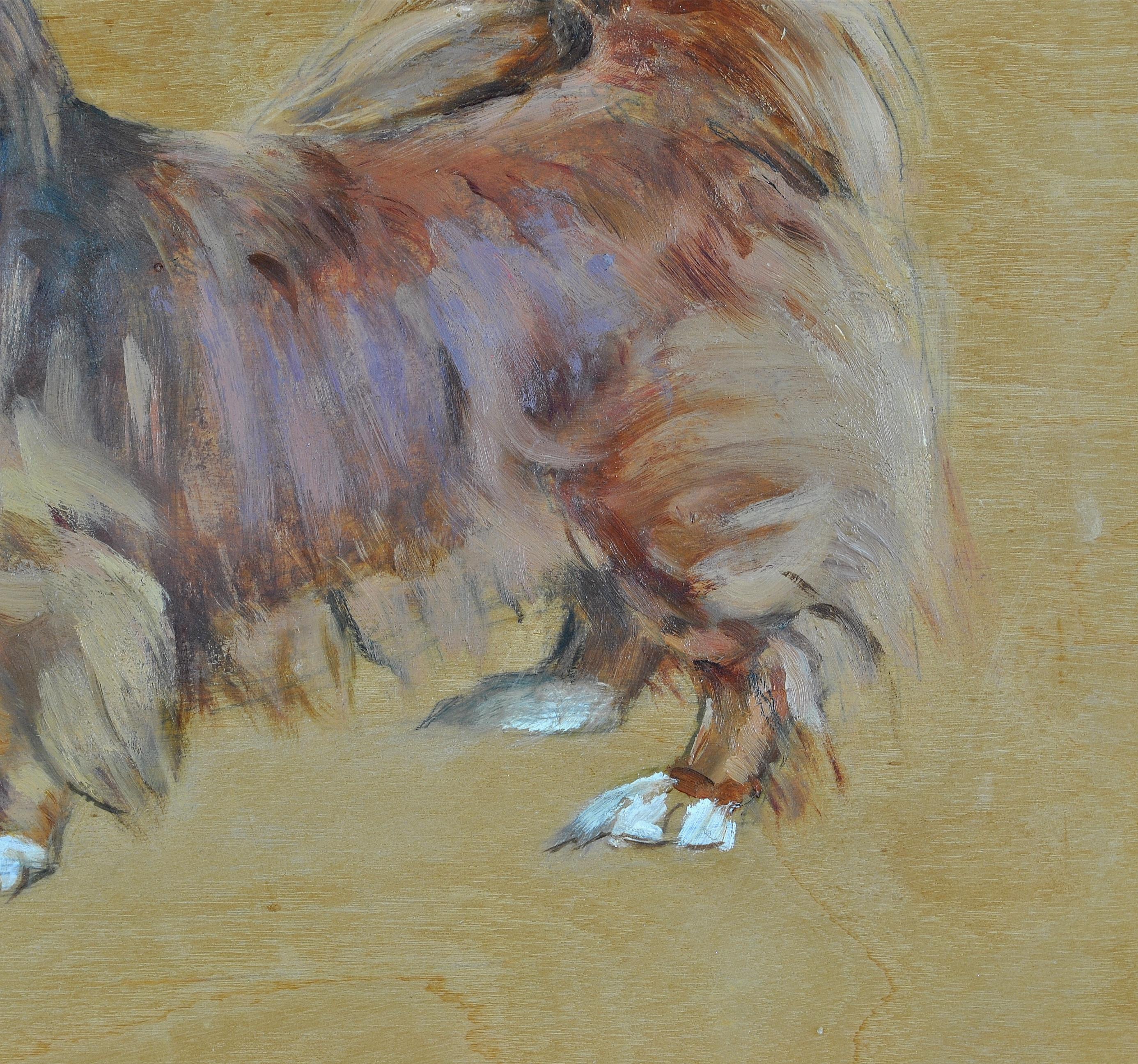 A beautiful signed and dated 1945 oil on panel portrait of a Pekingese by L. Lockwood. The work is painted directly on to the panel with the grain forming the background of the picture. Prestigious Aitken Dott & Son, Edinburgh label to the