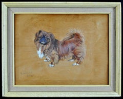 Vintage Portrait of a Pekingese - Mid 20th Century Oil on Panel Dog Painting