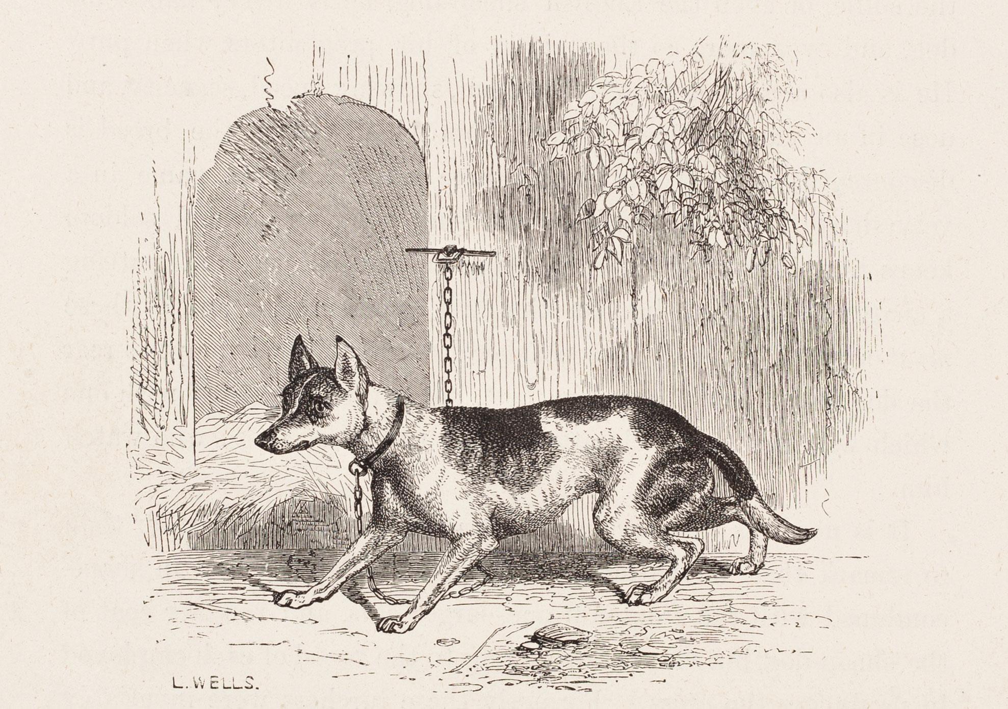 L. Wells Landscape Print - Dog and Fox Cross