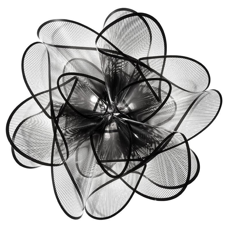 SLAMP - La Belle Etoile Ceiling-wall - Black Light - By Adriano Rachele