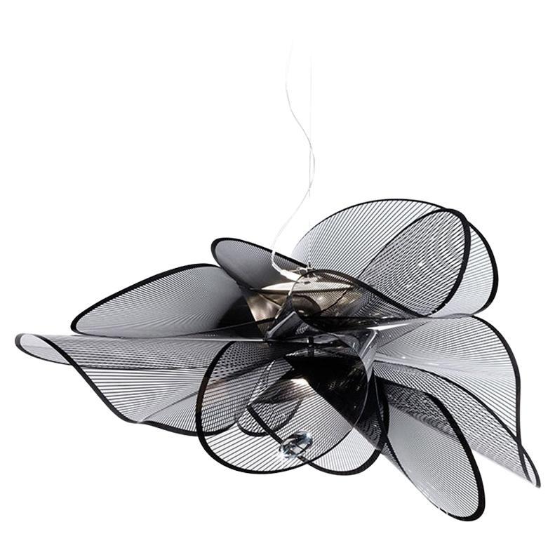 SLAMP - La Belle Etoile Suspension Large - Black Suspension Light