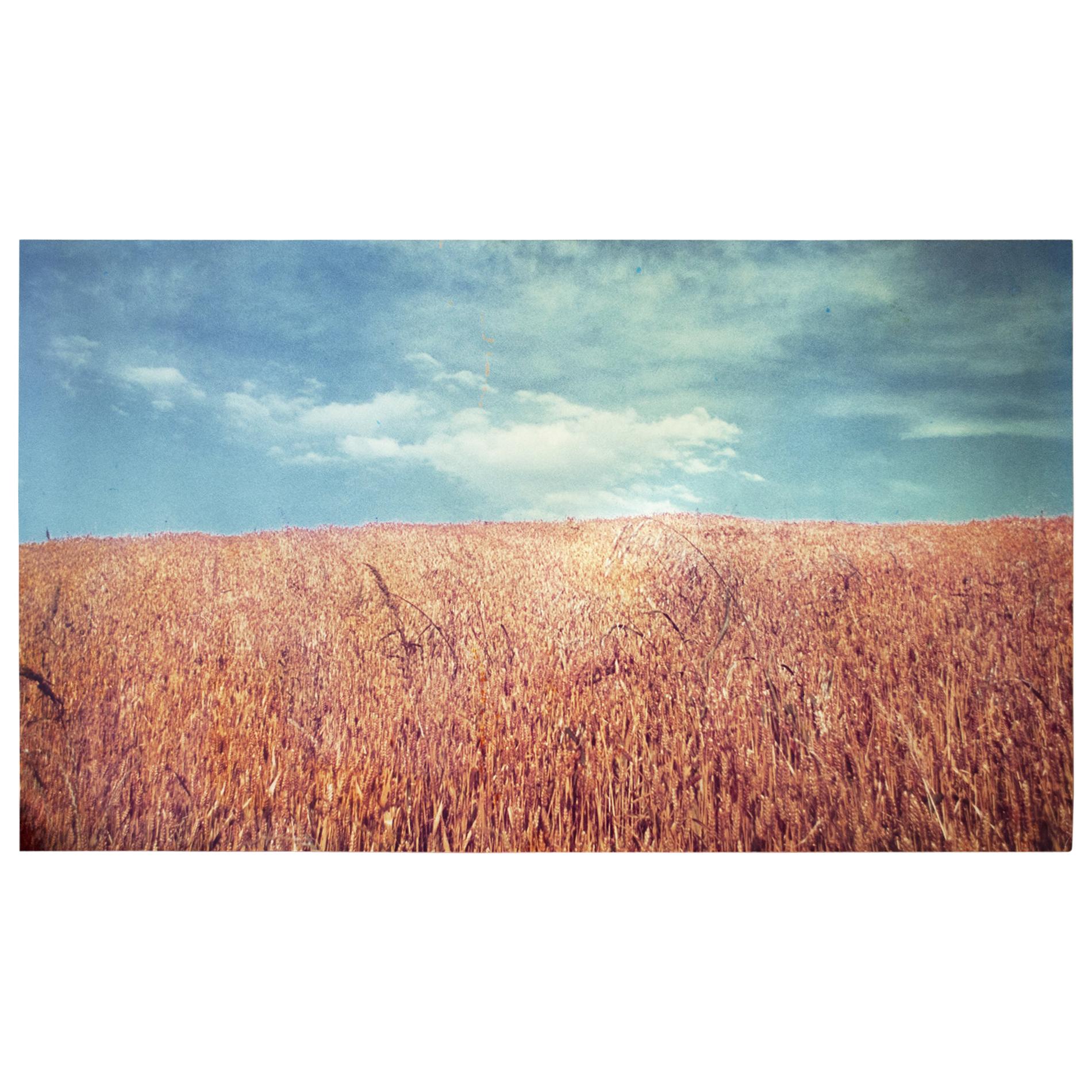 La Collina Photography by Luigi Ghirri Print A. Villani 
Figli, Italy Year 1976 For Sale