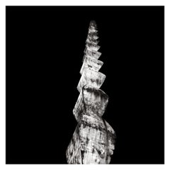 La colonne sans fin V-Brancusi - Dan er Grigorescu, 1967