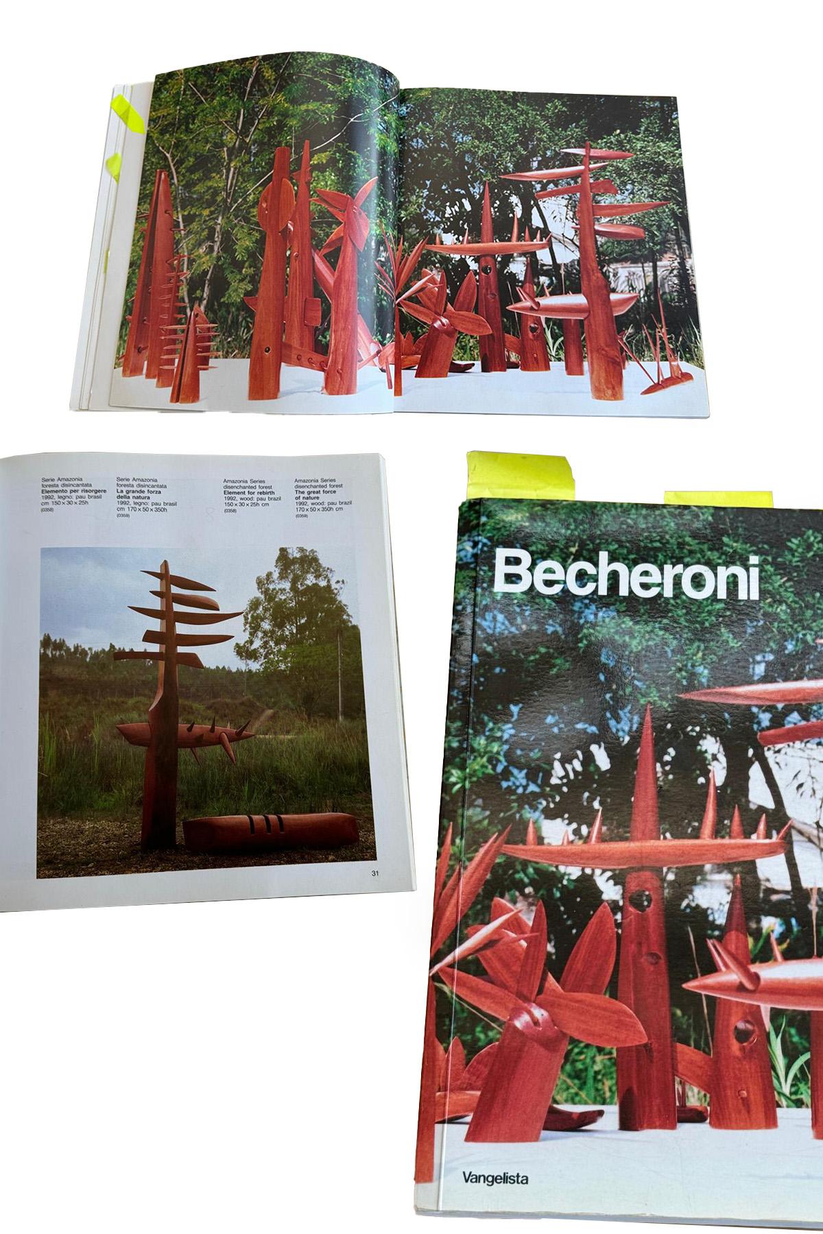 La gran fuerza de la naturaleza en la serie Amazonia de Elvio Becheroni en venta 2