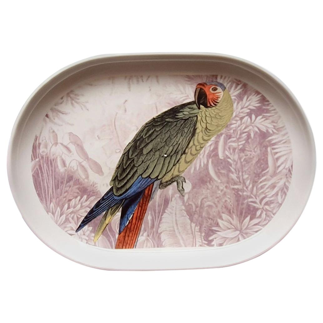 La Menagerie Ottomane Parrot Porcelain Tray Made in Italy For Sale