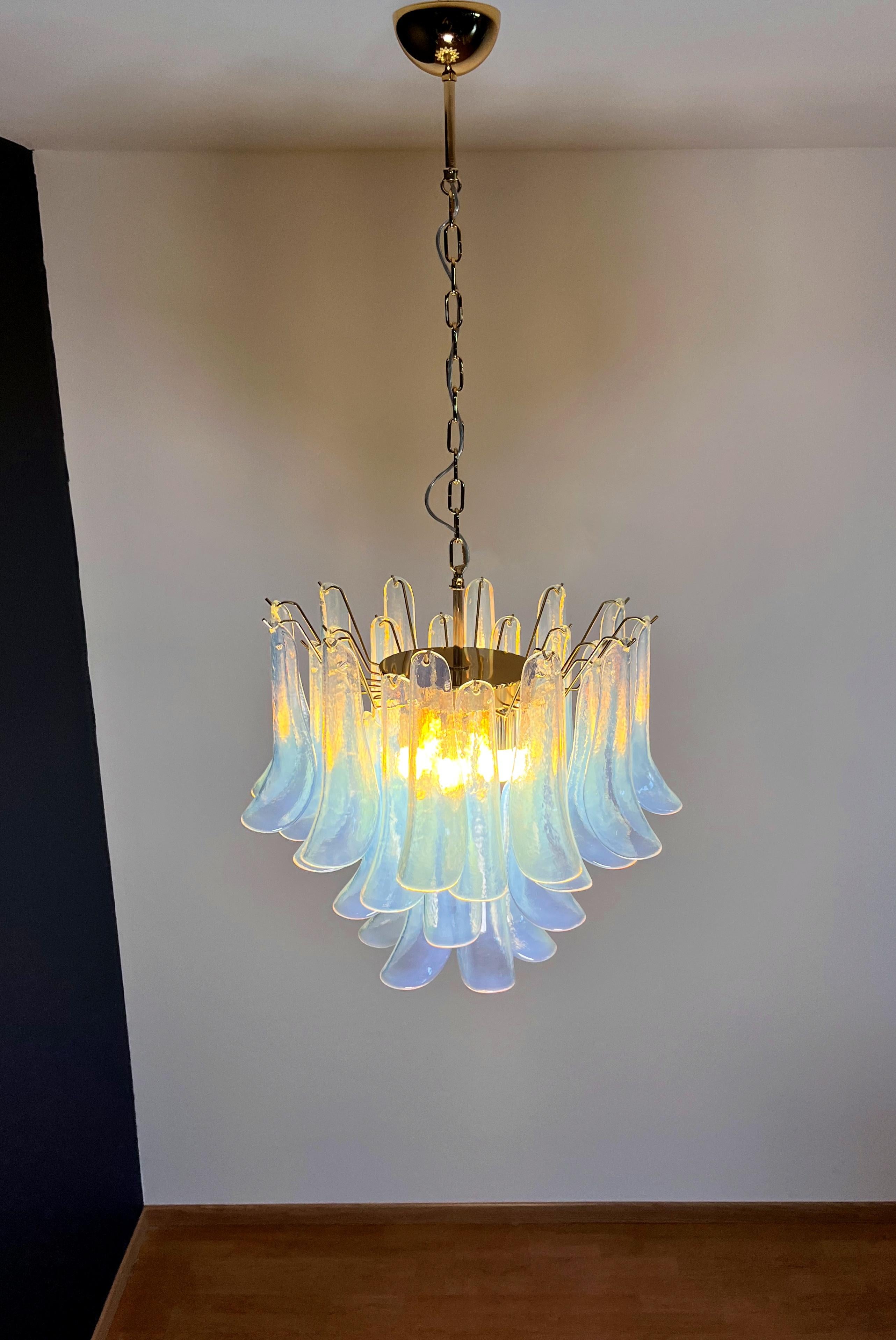 La Murrina glass chandelier - 36 opal petals - golden plated metal frame. For Sale 10