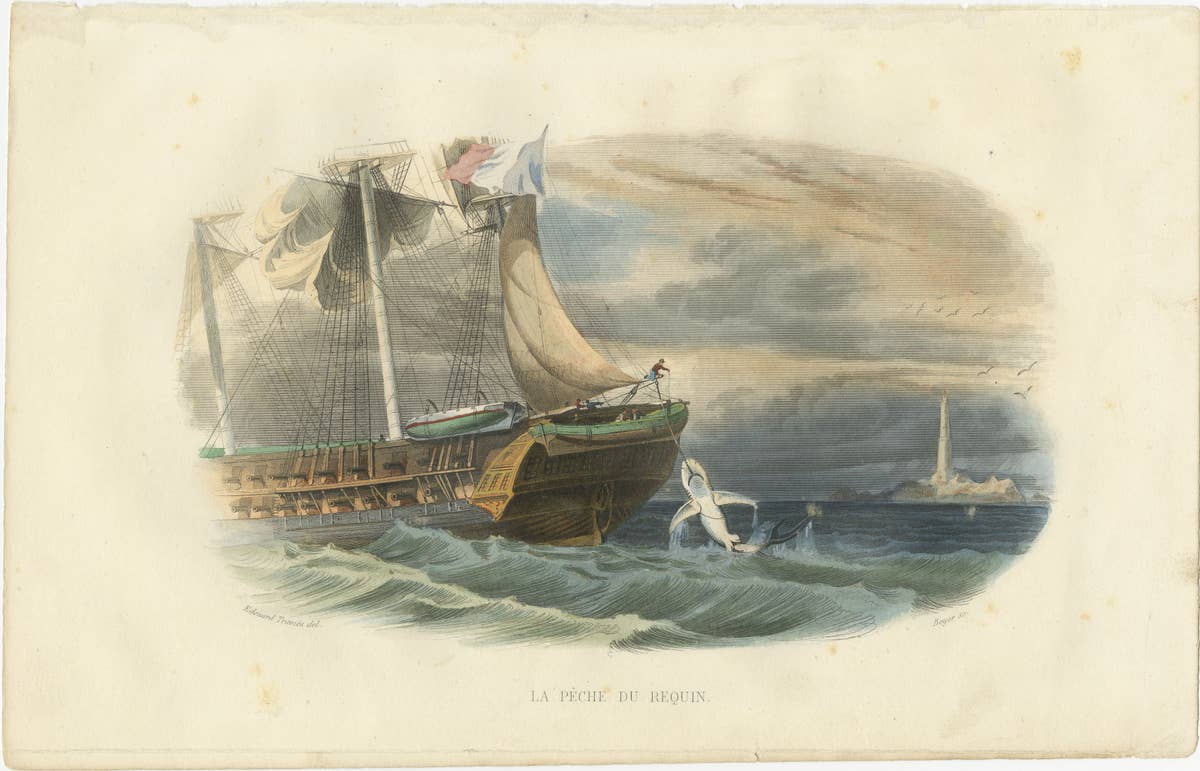 La Pêche du Requin (Shark Fishing), Hand-Colored Engraving, 1840