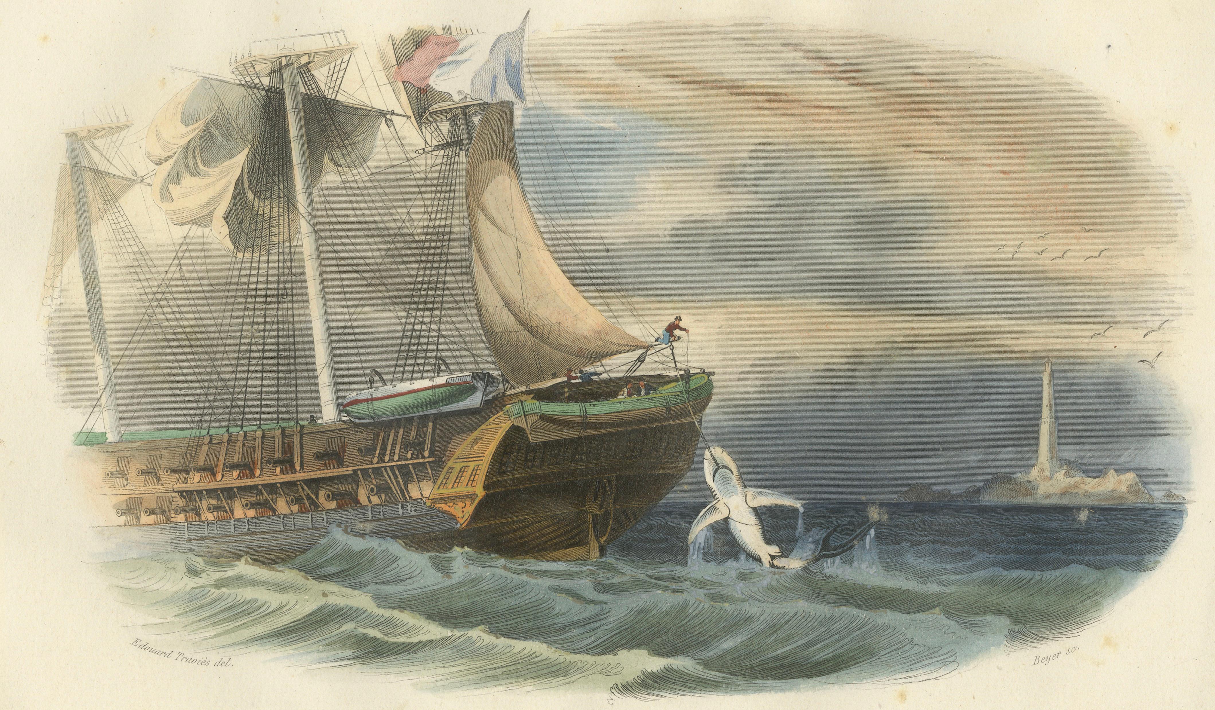 La Pêche du Requin (Shark Fishing), Hand-Colored Engraving, 1840