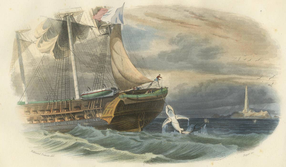 La Pêche du Requin (Shark Fishing), Hand-Colored Engraving, 1840