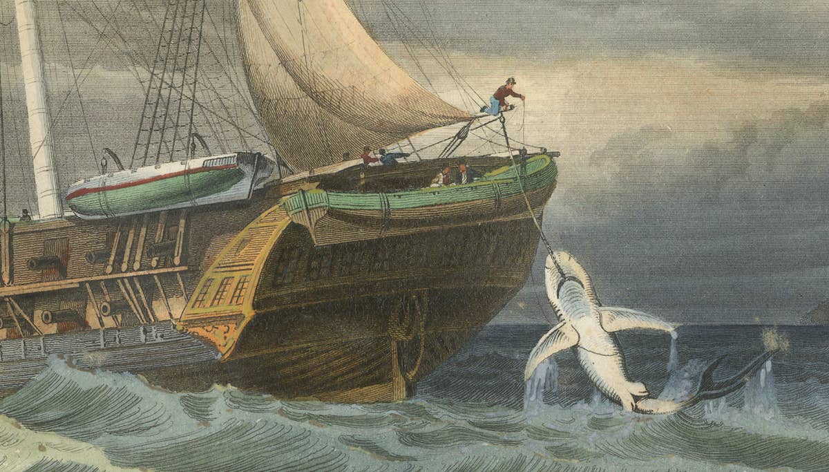 La Pêche du Requin (Shark Fishing), Hand-Colored Engraving, 1840