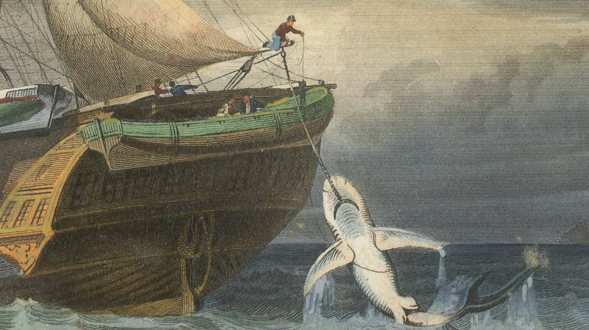 La Pêche du Requin (Shark Fishing), Hand-Colored Engraving, 1840