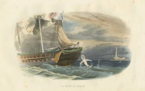 La Pêche du Requin (Shark Fishing), Hand-Colored Engraving, 1840