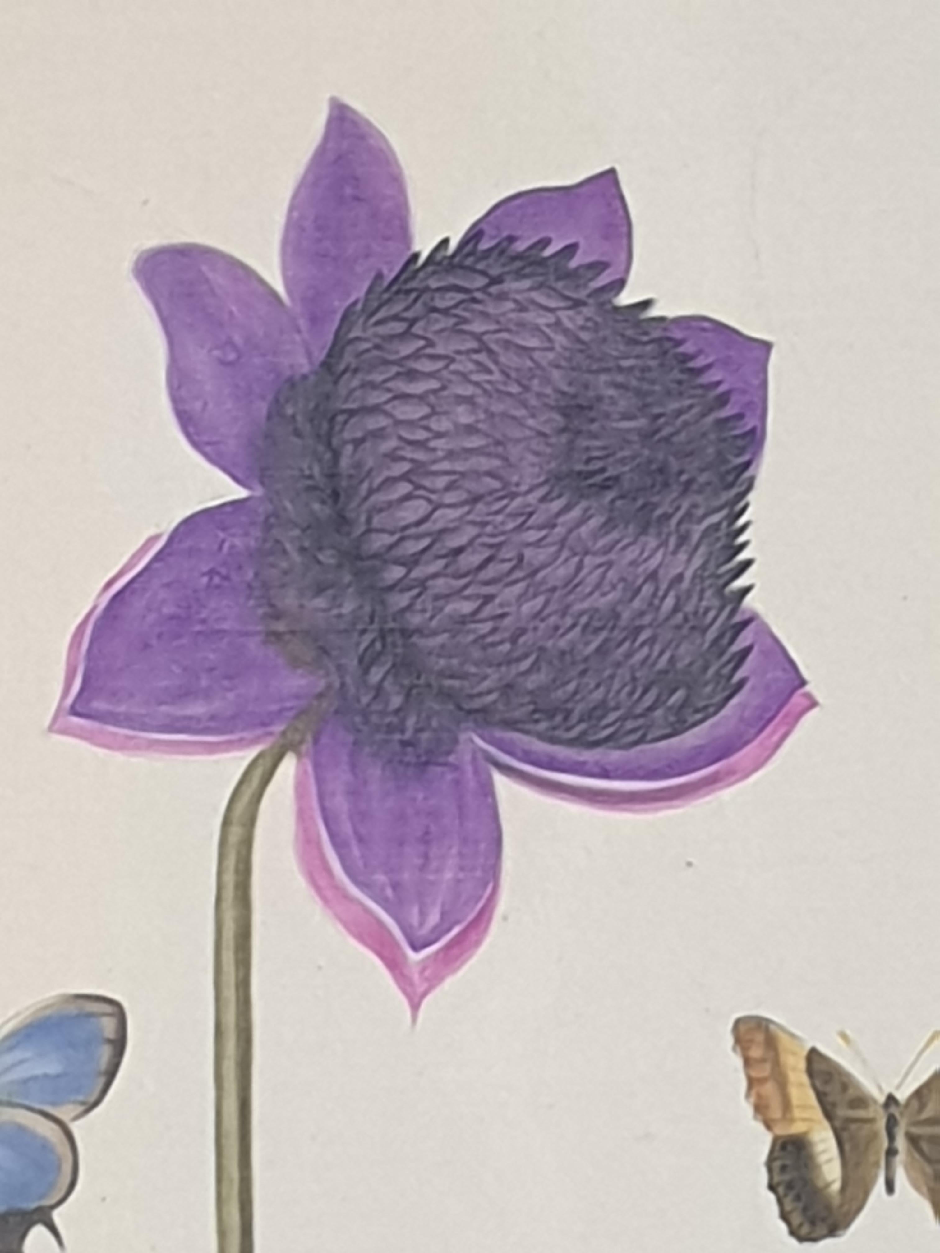Botanical Studies, Pair of Watercolours on Silk on Handmade Paper, Anemones - Art by La Roche Laffitte 