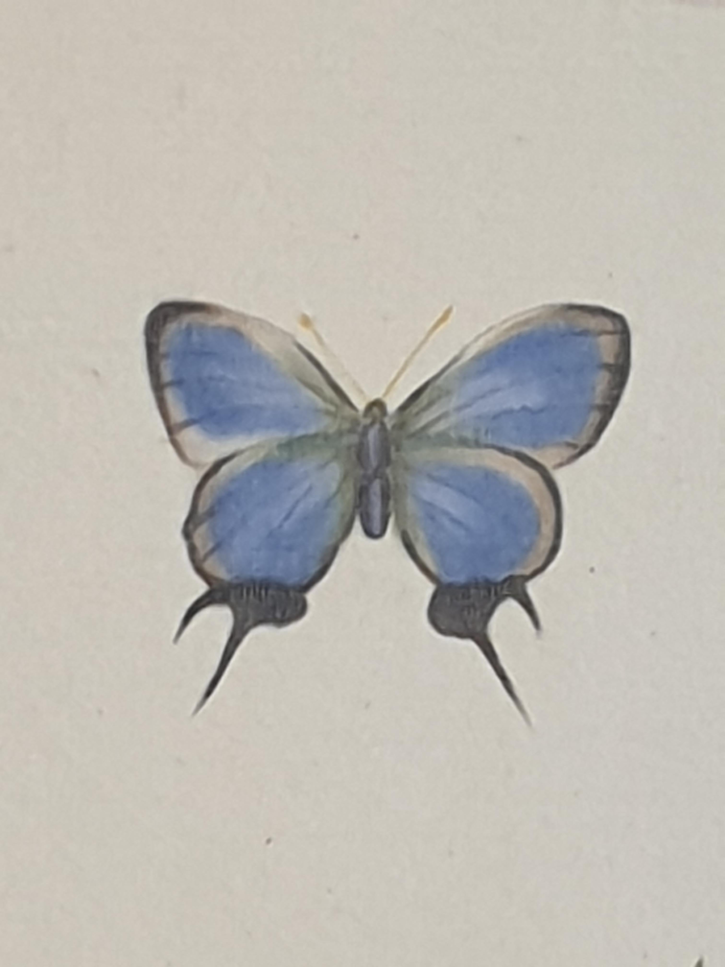 Estudios Botánicos, Pareja de Acuarelas sobre Seda en Papel Hecho a Mano, Anémonas - Still-Life Gris de La Roche Laffitte 